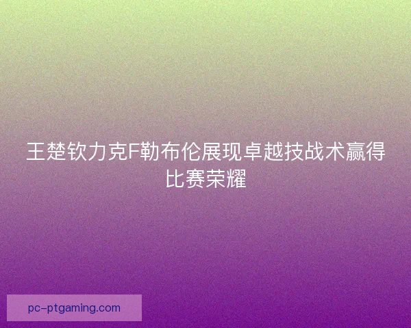 王楚钦力克F勒布伦展现卓越技战术赢得比赛荣耀